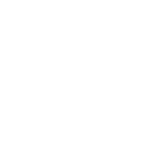 SEO UP