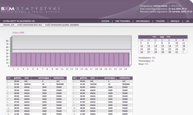 BxM Website Design Statistiken