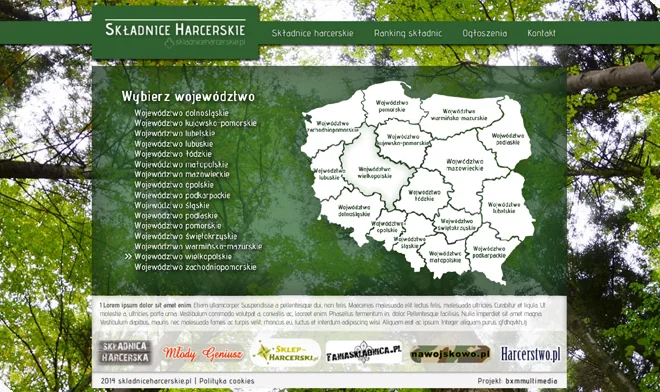 Design der Scouting-Komponenten